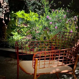 Loquat House Nel Giardino Segreto In Zona Vaticano Appartamento Roma